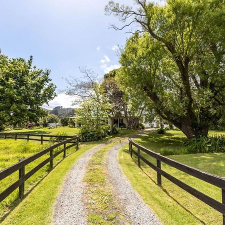 ジャカランダ ロッジ Coromandel エクステリア 写真