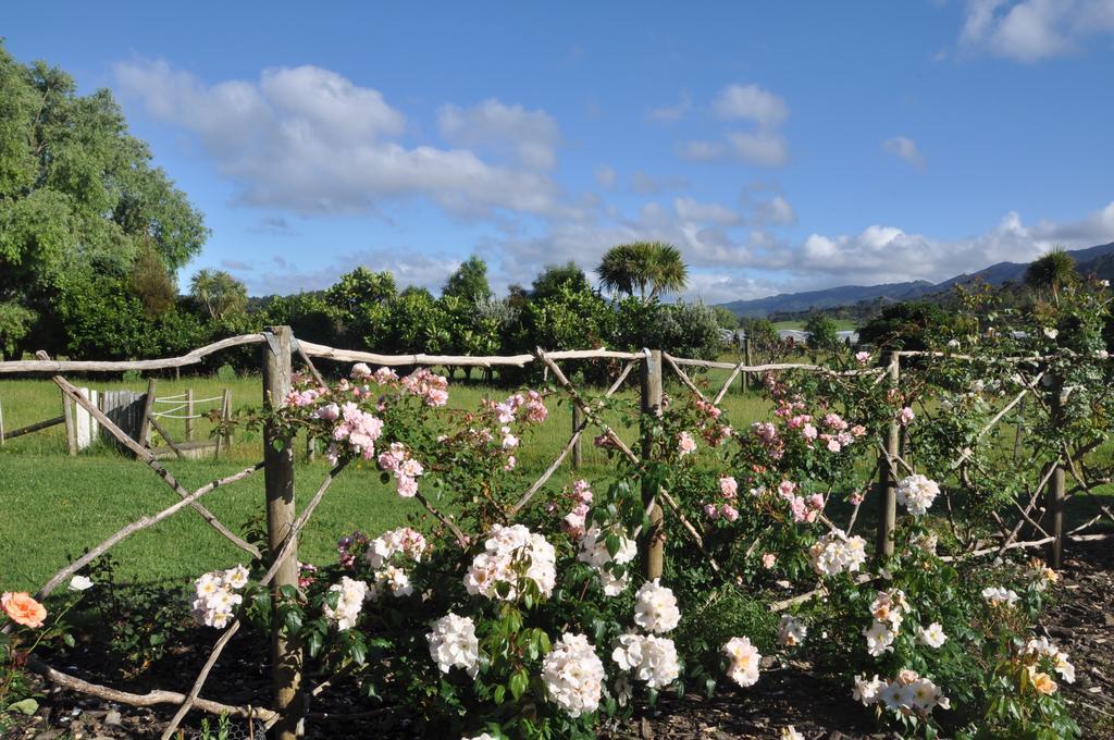 ジャカランダ ロッジ Coromandel エクステリア 写真