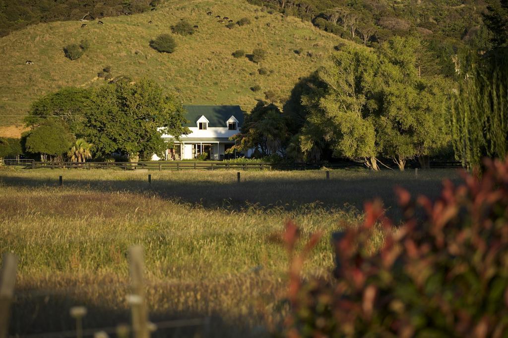 ジャカランダ ロッジ Coromandel エクステリア 写真